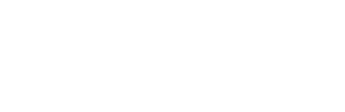 RealFin Capital
